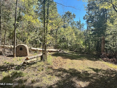 0 St Augustine Dr unit 4129175, Madison, MS 39110 - photo 3