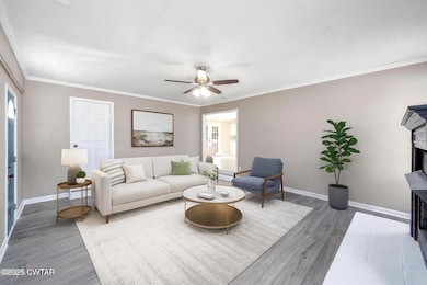 4135 Eurekaton Rd, Stanton, TN 38069 - photo 5