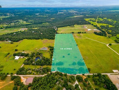 TBD Ray Ln, Millsap, TX 76066 - photo 4