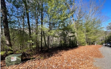 Additional View