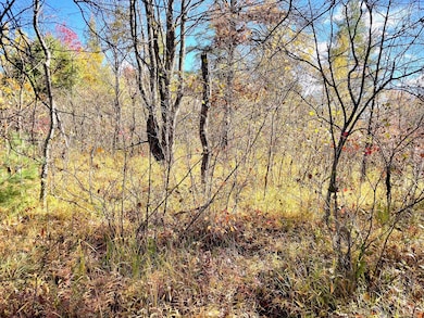 10 Acres W Fletcher Rd, Roscommon, MI 48653 - photo 7