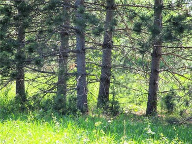 Woods