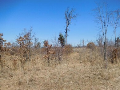 xxx County Road C, Jackson Township, WI 54893 - photo 3