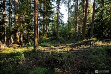 0 Ships Haven Dr unit NWM2414859, Freeland, WA 98249 - photo 5