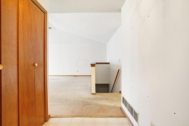 08_DSC09817_mls
