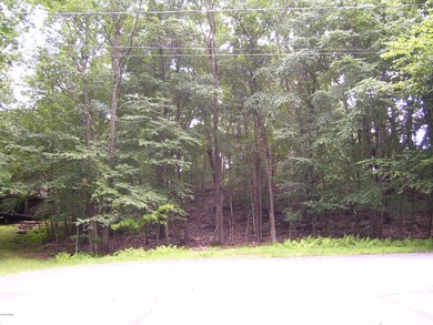 115 Heavenly Valley Dr, Tafton, PA 18464 - photo 4