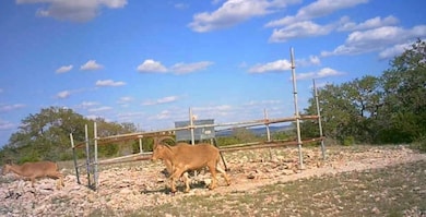 638-756 Sd 46820, Rocksprings, TX 78880 - photo 6