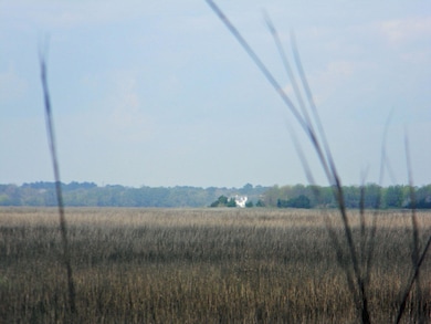 DSCN2499.jpg