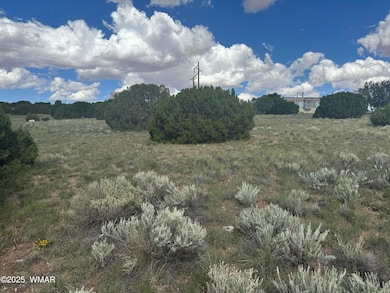 79 Alpine Ln, Concho, AZ 85924 - photo 7