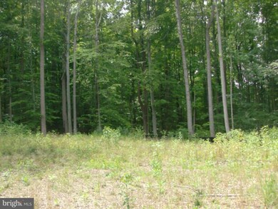 888 Mount Zion Marlboro Rd, Lothian, MD 20711 - photo 3