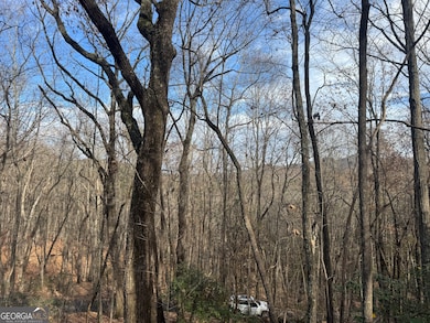 0 Geneva Place unit 10648180, Sautee Nacoochee, GA 30571 - photo 2