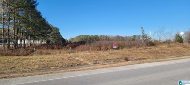 000 Coldwater Rd, Oxford, AL 36203 - photo 4