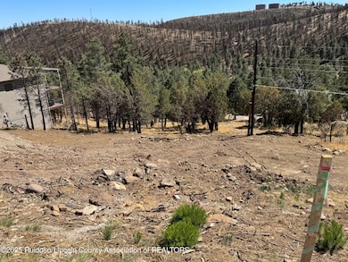 192 Crown Ridge Rd, Ruidoso, NM 88345 - photo 3