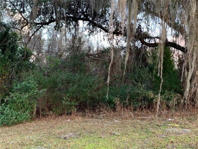 2615 E Margate Ct, Hernando, FL 34442 - photo 6