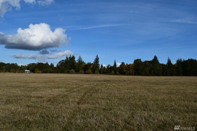 0 Drews Prairie Rd, Toledo, WA 98591 - photo 4