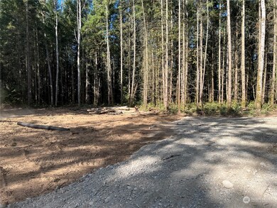 1813 394th St S, Roy, WA 98580 - photo 6