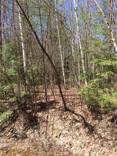 00 Birch Hill Cir unit 8, Campton, NH 03223 - photo 2