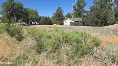 012-131-26 Mason Rd, Yerington, NV 89447 - photo 3