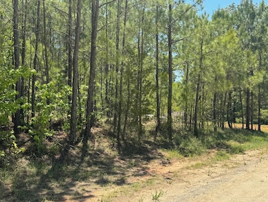 0 Lakeshore Estates Dr unit 528222, Lincolnton, GA 30817 - photo 4