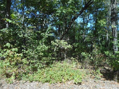 232 Buzzard Rock Rd, Farmington, MO 63640 - photo 6