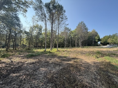 0 Waynesboro Hwy unit RTC2991221, Waynesboro, TN 38485 - photo 2