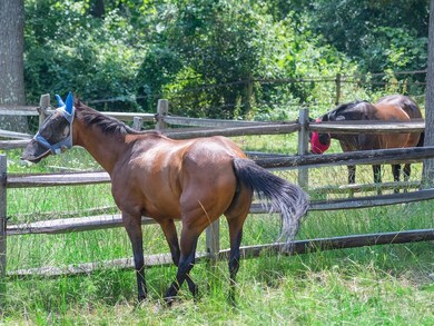 2 Sudbury Rd, Weston, MA 02493 - photo 5