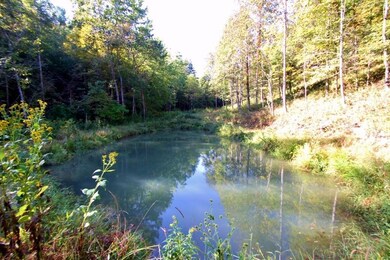 72 Acres with Pond