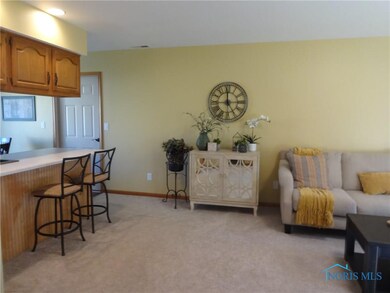 304 N Lincoln St, Archbold, OH 43502 - photo 6