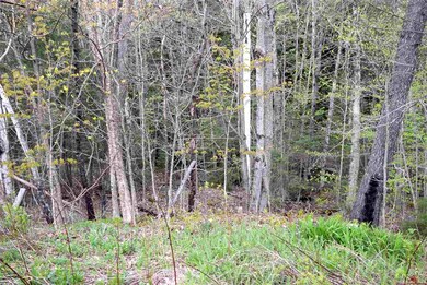 746 Durand Rd, Randolph, NH 03593 - photo 7