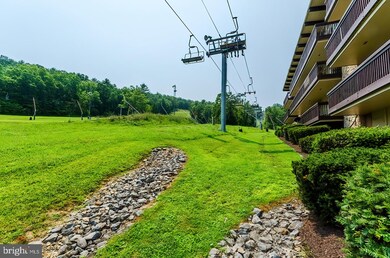 1836 Fairway Dr unit 218, Basye, VA 22810 - photo 6