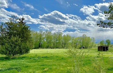 Mature trees, fenced pasture and loafing shed