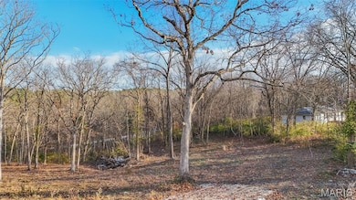 15316 Hargis Ct, Cold Spring Township, MO 65401 - photo 2