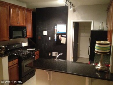 41984 Blue Flag Terrace unit 46, Stone Ridge, VA 20105 - photo 2