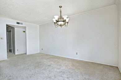 4731 W Palo Verde Dr Glendale-large-019-