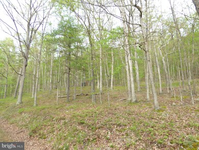 3 Cardinal Run, Augusta, WV 26704 - photo 6