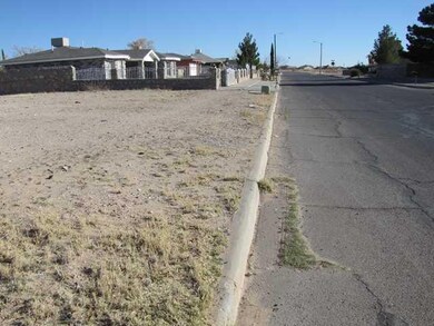 340 Duanesburg St, Horizon City, TX 79928 - photo 3