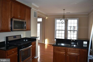 41947 Blue Flag Terrace unit 41947, Stone Ridge, VA 20105 - photo 2