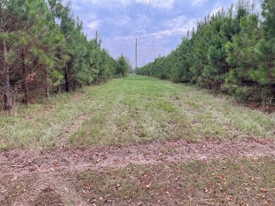 XXX Rushingtown Rd, Tylertown, MS 39667 - photo 6