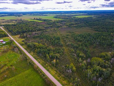 DJI_0796 - Copy-2