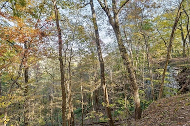 680 Rattlesnake Spring Rd, Sewanee, TN 37375 - photo 7