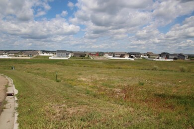 IMG_2350