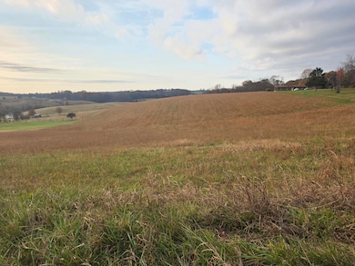 0 Stewartsville Rd, Moneta, VA 24121 - photo 2