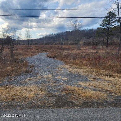LOT 1 W Dowdy Hole Rd, Howard Township, PA 16841 - photo 2