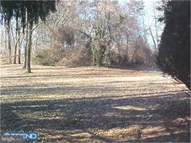 213 Avondale Rd, Wallingford, PA 19086 - photo 3