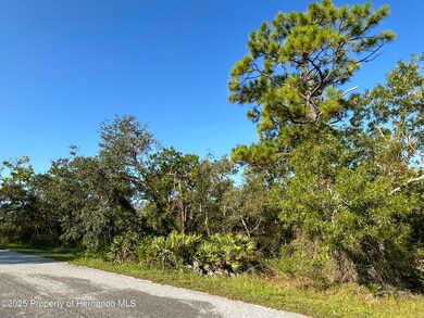 0 Nuzum Rd unit 2255389, North Weeki Wachee, FL 34613 - photo 3