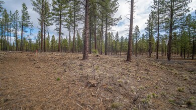 56319 Elk Run Dr, Bend, OR 97707 - photo 4