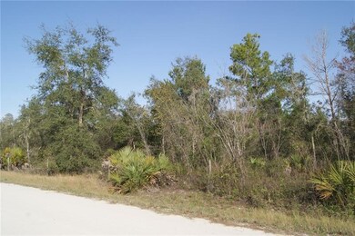 VIEW OFF TURKEY OAK TR