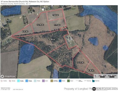 Lot 3 Barnesville Church Rd, Orrum, NC 28369 - photo 7