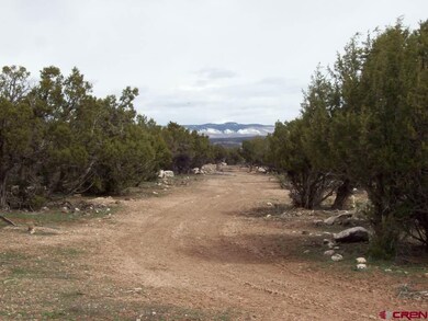 0 Cedar Mesa Rd unit 757710, Cedaredge, CO 81413 - photo 5