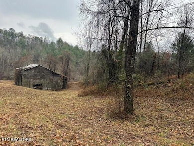 680 Bug Branch Rd, Del Rio, TN 37727 - photo 6